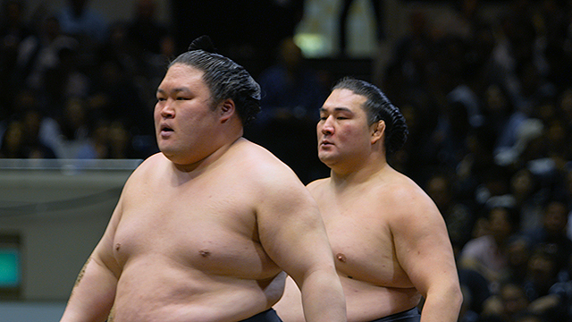 相撲道 サムライを継ぐ者たち 1週間限定 相撲道 サムライを継ぐ者たち 1週間限定