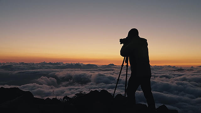 ������ �����x�ɐ����� ����� �@�P�T�Ԍ���