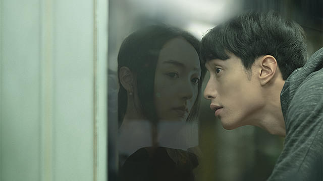 �����@���̌������Ɂy�����Łz1�T�Ԍ���